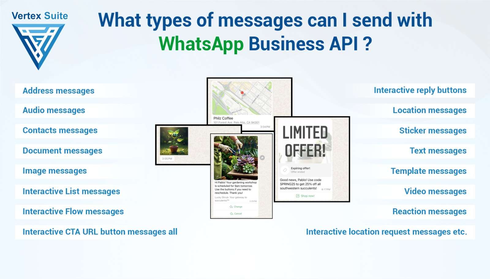 What types of messages can I send with WhatsApp Business API