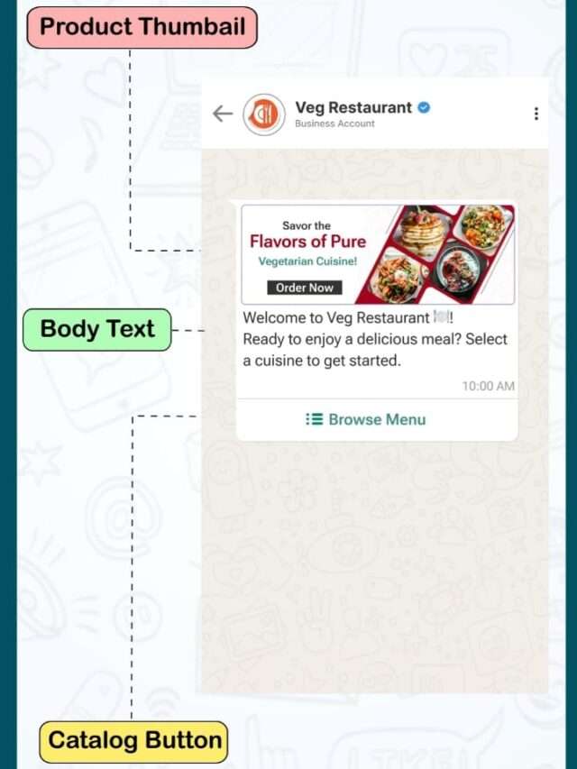 WhatsApp Product Catalog Demo – One-Click Shopping Experience | Vertex Suite